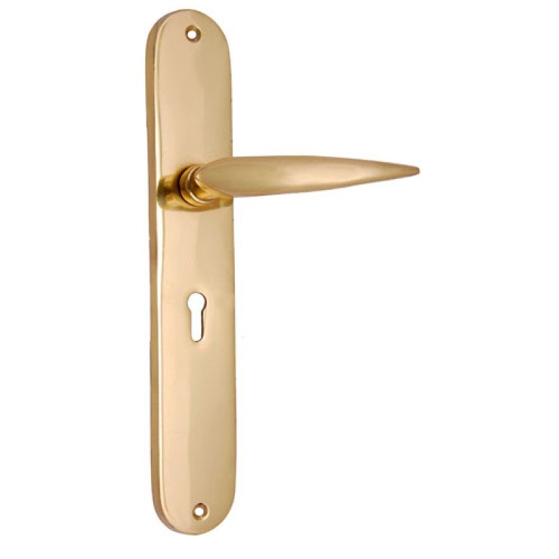 ""Jehoram"" Brass Door Handle with Plate - Polish Lacquered