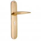 ""Jehoram"" Brass Door Handle with Plate - Polish Lacquered