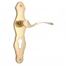 ""Jehoshaphat"" Brass Door Handle with Plate - Polish Lacquered