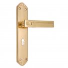 ""Joash"" Brass Door Handle with Plate - Polish Lacquered