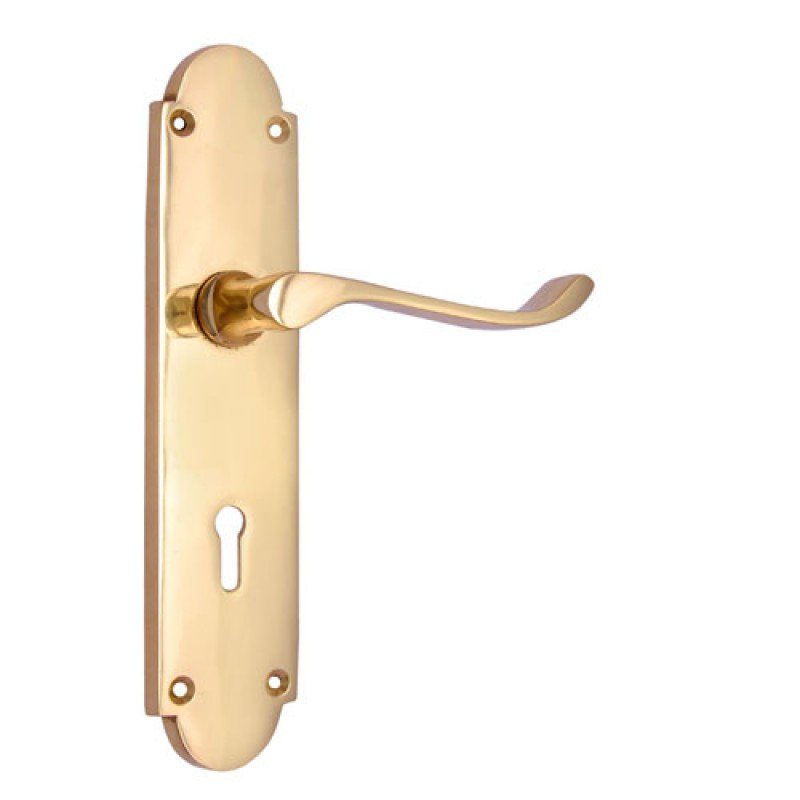 ""Kenan"" Brass Door Handle with Plate - Polish Lacquered