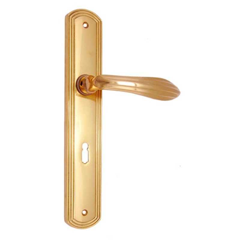 ""Lamech"" Brass Door Handle with Plate - Polish Lacquered