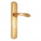 ""Lamech"" Brass Door Handle with Plate - Polish Lacquered