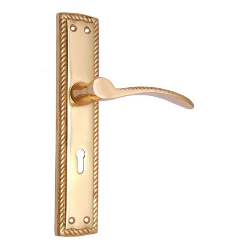 ""Moses"" Brass Door Handle with Plate - Polish Lacquered