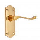 ""Noah"" Brass Door Handle with Plate -  Polish Lacquered