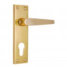 ""Rehoboam"" Brass Door Handle with Plate - Polish Lacquered