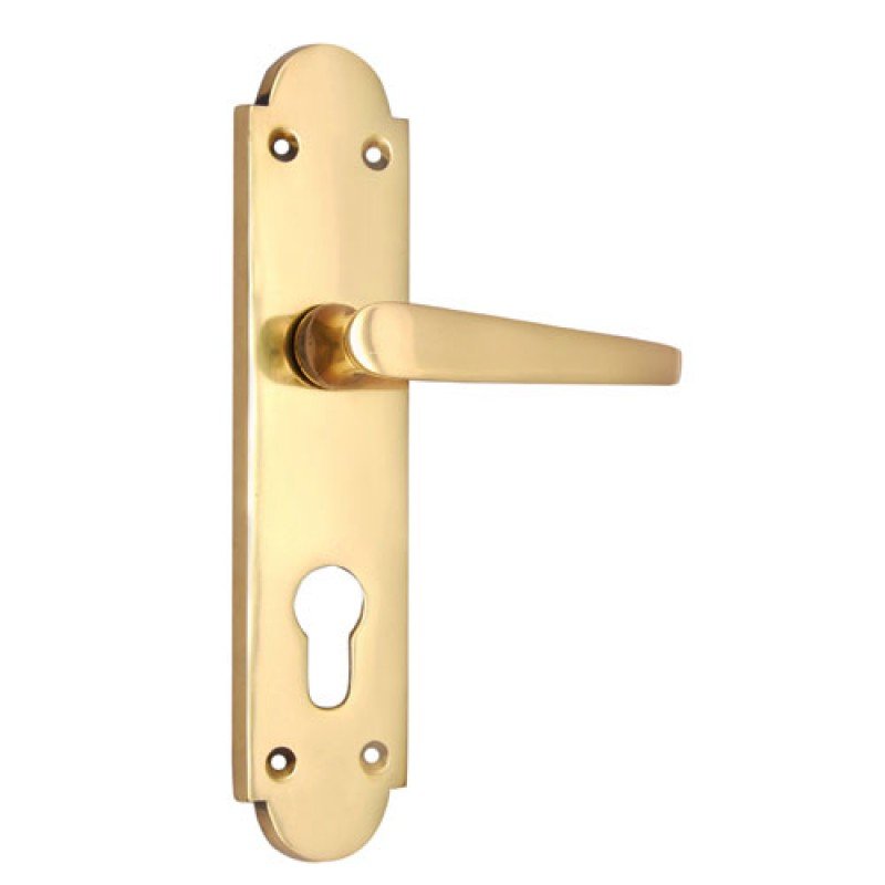 ""Salmon"" Brass Door Handle with Plate - Polish Lacquered