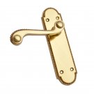 ""Sanhedrin"" Brass Door Handle with Plate - Polish Lacquered