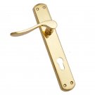 ""Sechu"" Brass Door Handle with Plate - Polish Lacquered