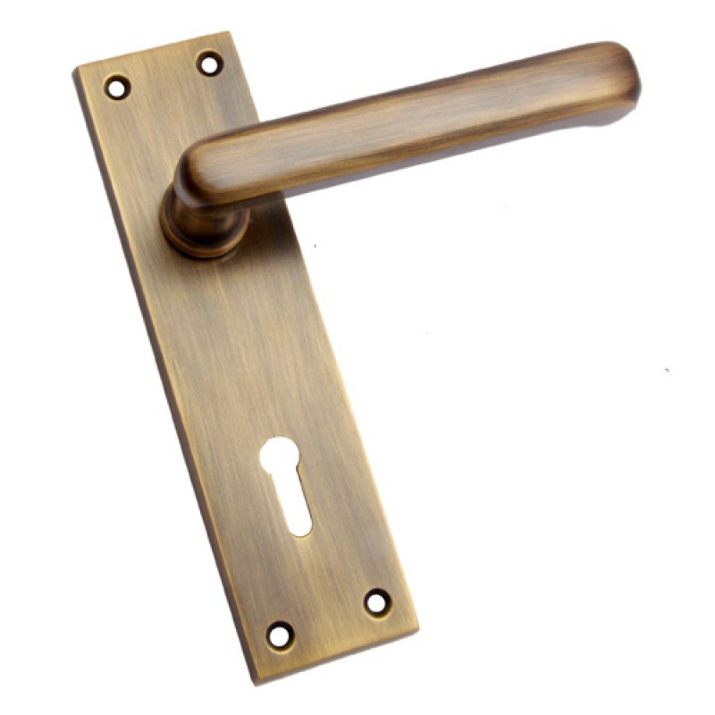 ""Semachiah"" Brass Door Handle with Plate - Antique Brass