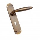 ""Shachia"" Brass Door Handle with Plate - Antique Brass
