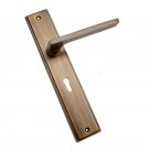 ""Shalman"" Brass Door Handle with Plate - Antique Brass