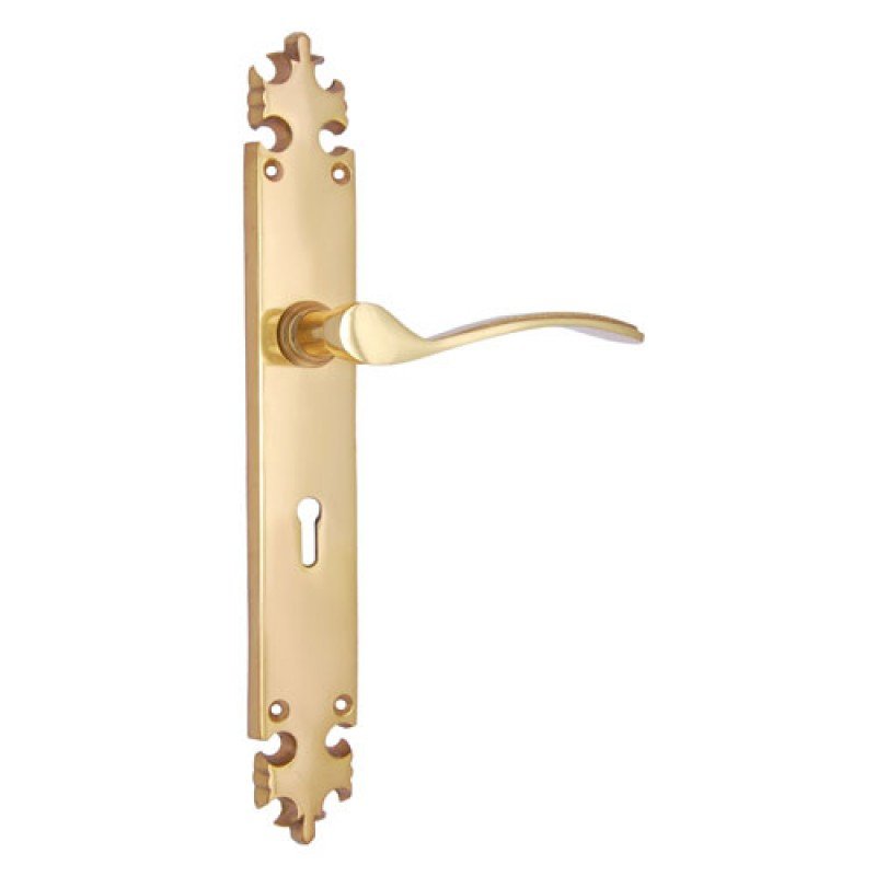 ""Shebuel"" Brass Door Handle with Plate - Polish Lacquered