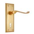 ""Shem"" Brass Door Handle with Plate - Polish Lacquered