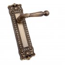 ""Sigionoth"" Antique Brass Door Handle with Plate - Antique Brass