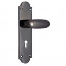 ""Zia"" Brass Door Handle with Plate - Black Nickel