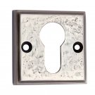 ""Apphia"" Brass Escutcheon
