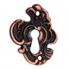 ""Eldad"" Brass Escutcheons
