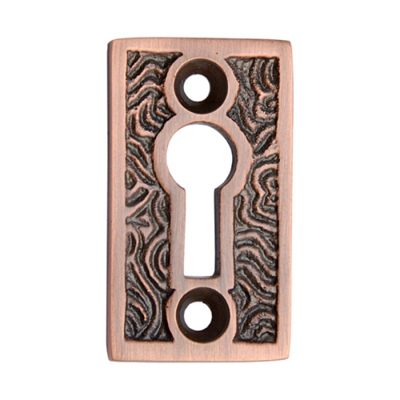 ""Gimzo"" Brass Escutcheon