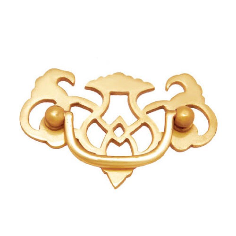 ""Philologus"" Brass Drop Pull - Polish Lacquered