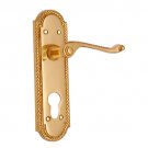 ""Mahalalel"" Brass Door Handle with Plate - Polish Lacquered