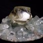 PERFECT CALCITE CRYSTAL ON APOPHYLLITE BASE S4#151