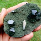 GLASSY APOPHYLLITE STILBITE ON GREEN MATRIX E2#06