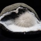 SCOLECITE IN QUARTZ GEODE E2#12