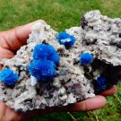 FABULOUSLY RICH HUGE CAVANSITE CRYSTALS WITH STILBITE ON MATRIX C#05