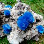 FABULOUSLY RICH HUGE CAVANSITE CRYSTALS WITH STILBITE ON MATRIX C#05