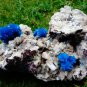 FABULOUSLY RICH HUGE CAVANSITE CRYSTALS WITH STILBITE ON MATRIX C#05