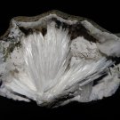 SCOLECITE ON WHITE SPECIMEN E2#14
