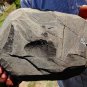 APOPHYLLITE ON CHALCEDONY MATRIX  B-1