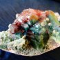 RARE MARSHY APOPHYLLITE TWIN COLOR FLOWER WITH INCLUSION OF CELADONITE F-12