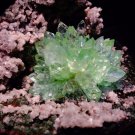 FIRST CLASS POINTED GREEN APOPHYLLITE FLOWER ON CHALCEDONY MATRIX S#1#149