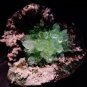 FIRST CLASS POINTED GREEN APOPHYLLITE FLOWER ON CHALCEDONY MATRIX S#1#149