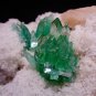 GEMMY POINTED GREEN APOPHYLLITE FLOWER ON WHITE CHALCEDONY MATRIX F-1114