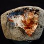 RED STILBITE BLADE BUNCH IN WHITE MATRIX SEMI GEODE   !!!S-4