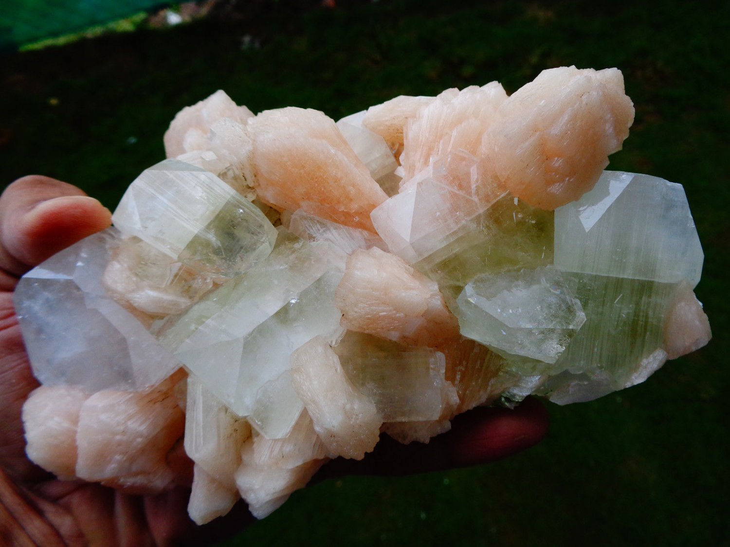 APOPHYLLITE LIGHT GREEN CRYSTAL WITH STILBITE BLADE  !! B-3