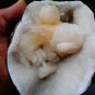 STILBITE BLADE IN AMETHYST SEMI GEODE !!! G-3