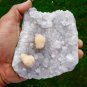 APOPHYLLITE WITH STILBITE ON AMETHYST MINERAL SPECIMEN # L-5