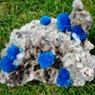 FABULOUSLY RICH MULTI CAVANSITE CRYSTALS WITH STILBITE ON MATRIX C#03