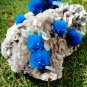 FABULOUSLY RICH MULTI CAVANSITE CRYSTALS WITH STILBITE ON MATRIX C#03