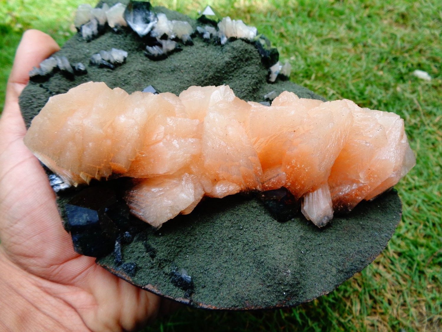 QUALITY ITEM STILBITE LINE WITH APOPHYLLITE ON GREEN MATRIX E2#07