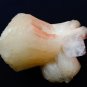 STILBITE BLADE BOW ON MATRIX # R-5