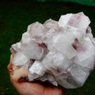 APOPHYLLITE CRYSTAL BUNCH WITH STILBITE BLADE B# -6