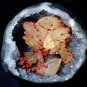 RED FLUORITE CRYSTALS WITH CALCITE LOTUS IN QUARTZ SPECIMEN FROM INDIA- F-03