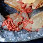 RED FLUORITE CRYSTALS WITH CALCITE LOTUS IN QUARTZ SPECIMEN FROM INDIA- F-03