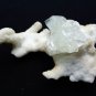 APOPHYLLITE POINTED CRYSTAL ON WHITE STALACTITE MATRIX # R-5