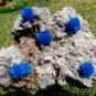 MULTI CAVANSITE CRYSTAL WITH STILBITE ON MATRIX FROM POONA C-01